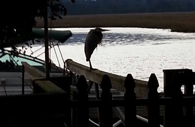 Sunmist Cottage, schöne Aussicht, privater Deep Water Dock, Ihr eigener ruhiger Kurzurlaub