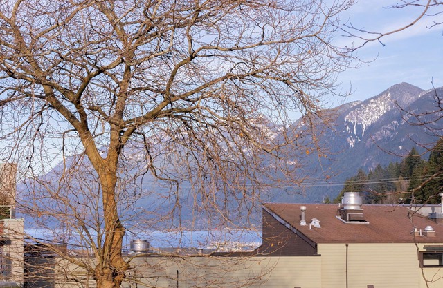 Sunny 2-Bed Condo Retreat