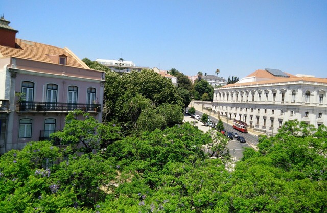 Sunny 2BR - Av. D. Carlos I, Lissabon (São Bento)