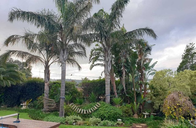 Geräumiges Unterhaltungsfamilienhaus in den Winelands
