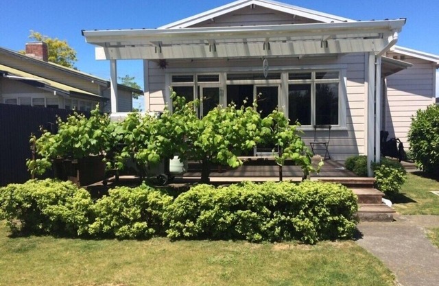 Sonniges Wohnen in der Nähe von McLean Park / Napier CBD