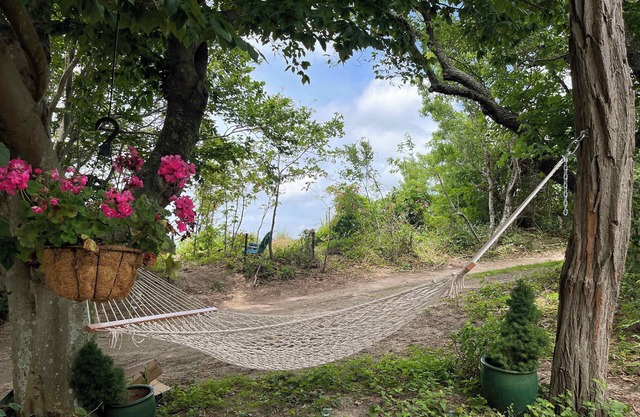 Sunset Beach House:Amazing views,Secluded Cottage