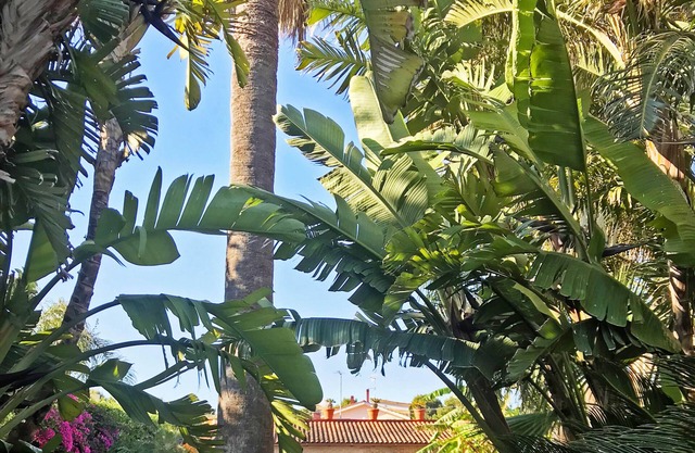 Sunset Home Villa in Apulien