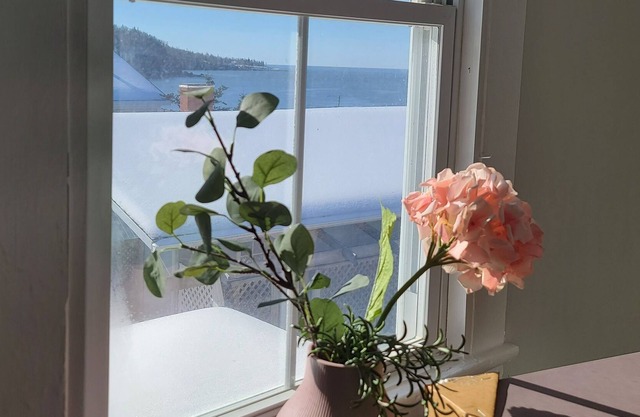 Sunset Oceanfront guest suite + On-site Registered Massage therapy