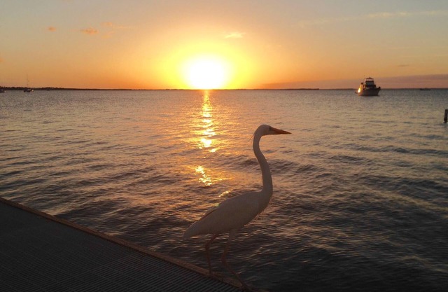 "Sunset Serenity" Buchen Sie jetzt für Ihren Sommerurlaub! Blick auf die Bucht vom Balkon!