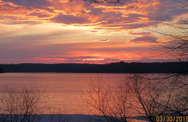 Seeufer am Wallenpaupack