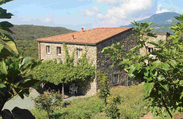 "Sunshine" apartment in farmhouse with large kitchen, two rooms, one bathroom