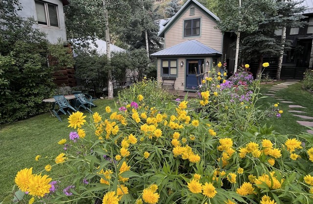 Super Cute Festival Flower House in Telluride Town