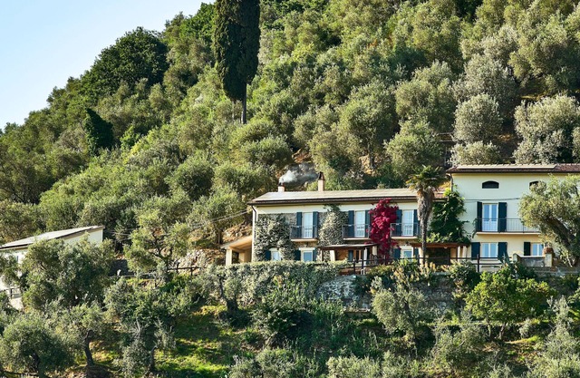 Ansichten LEANING TOWER! In der Nähe von Pisa und Lucca - Superb Olive Grove House + Lovely Pool!