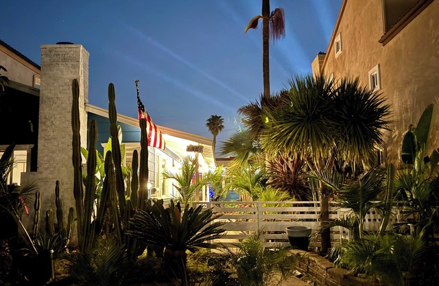 Surf City Beach Cottages... Steps to the ocean..🛖🏝️🐶