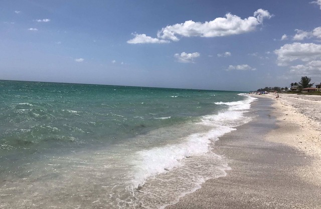 Surf's Up bei Beachcomber of Manasota Key !!!