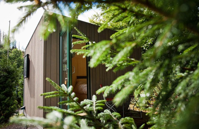 Nachhaltig & stilvoll - Übernachtung im Green Tiny Sleep Space im Harz