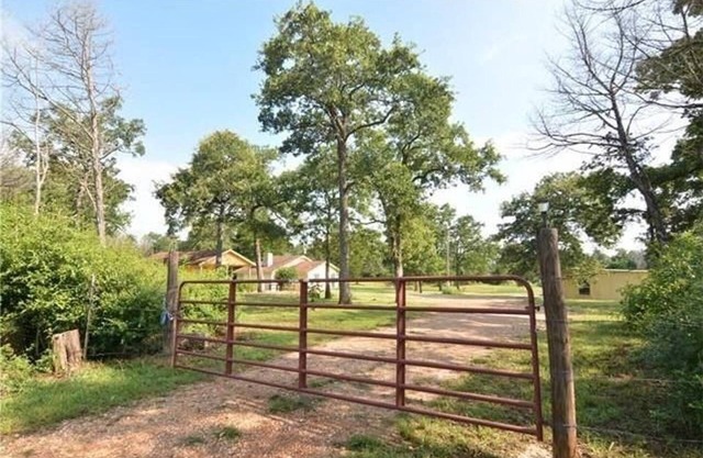 Sweet Dreams Hillcountry Cottage