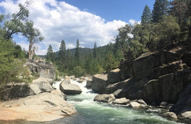 Sweet Retreat: Theater, Pool/Ping-Pong, Quiet!