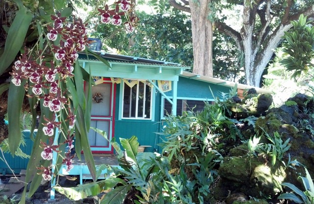 ENCHANTED GROTTO HOUSE UNTER JURASSISCHEN BÄUMEN IST EIN ROMANTISCHER WEG