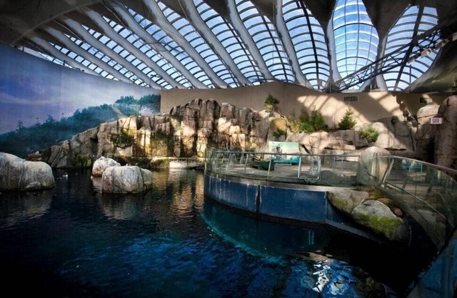 ★ Sweet Stay ★ von Olympiastadion und Botanischen Gärten in Montreal