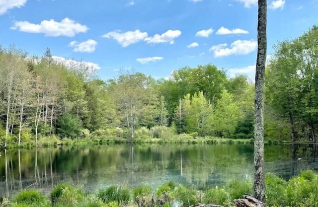 Sweet Suite Tiny House w/ Zen Vibes on Quiet Lake