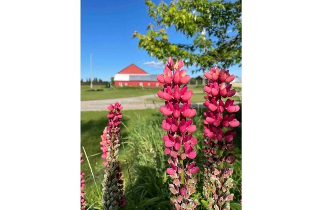Sweet Winds Michigan Upper Peninsula Farm