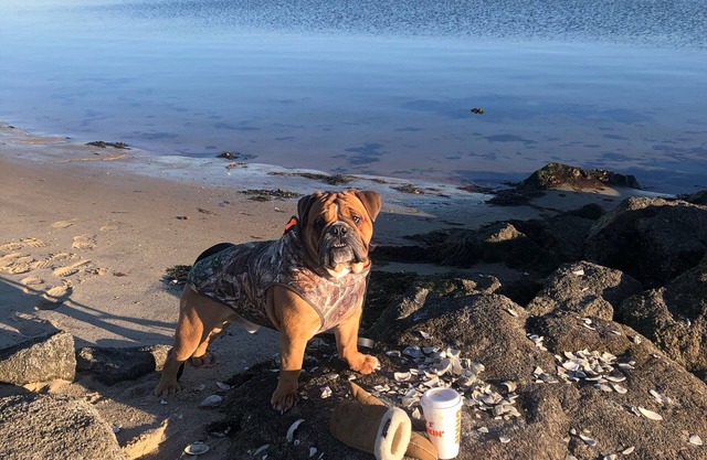 Swift Beach-beach house sleeps 8Walking distance to the beach Wareham, MA