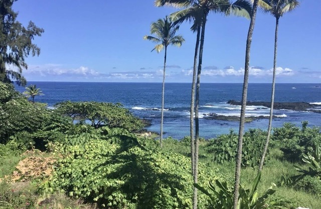Swim with the turtles and watch the whales! S-l-o-w down and R E L A X.