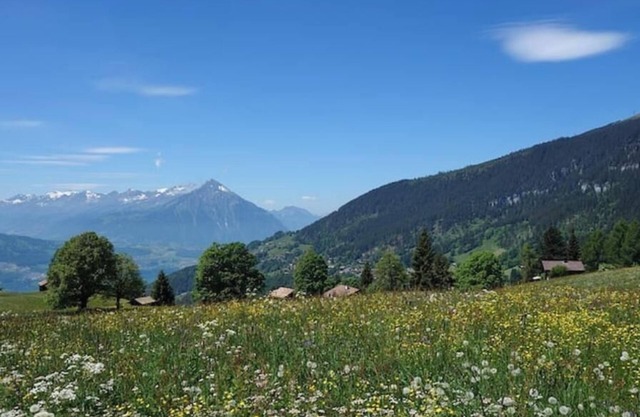 @swissmountainview: holidayhome with amazing views