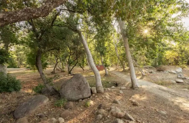 Sycamore Forest Retreat