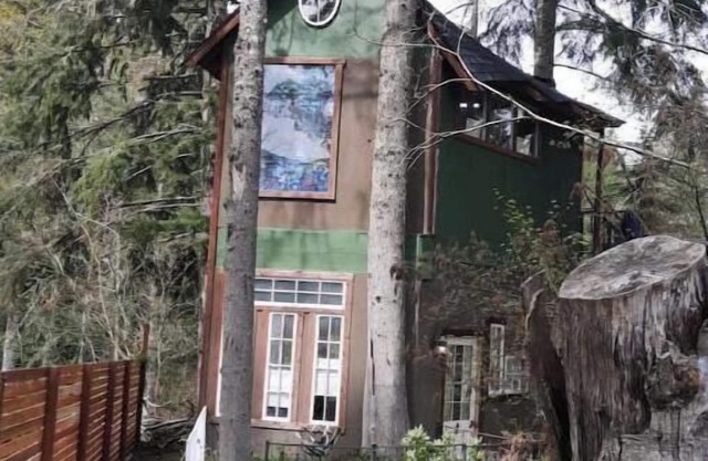 T, s Creekside cabin. King Bed/ Hot tub/ treehouse
