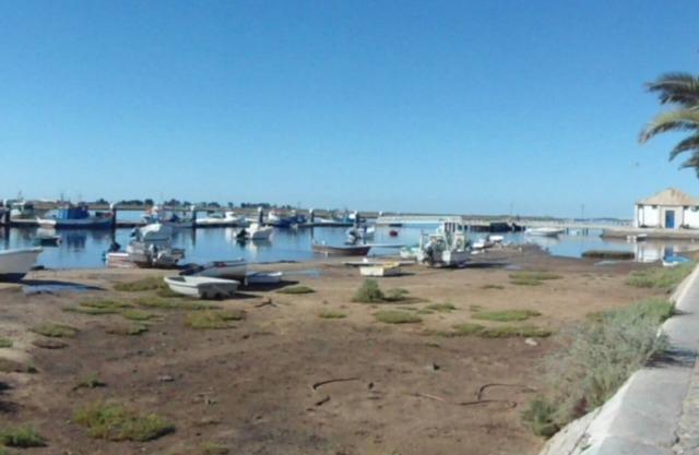 T2, Santa Luzia, Tavira