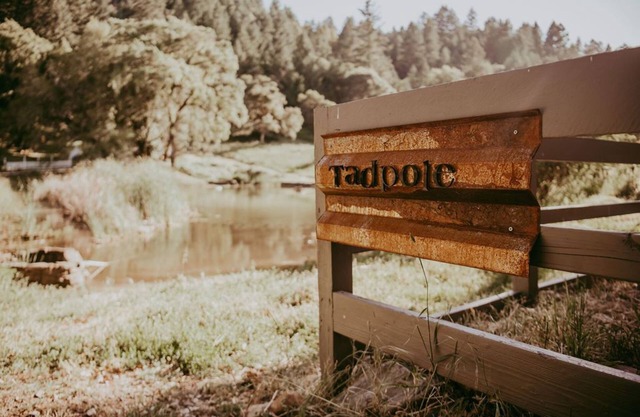 Tadpole Cottage