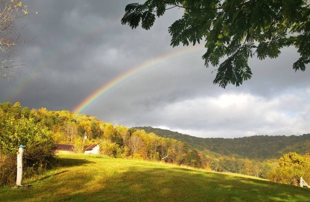 Take it easy at this unique and tranquil getaway
