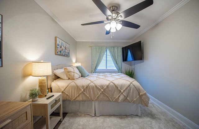 Dreaming at Doak. Close to FSU, FAMU, TCC, TSC, Capitol, Civic center