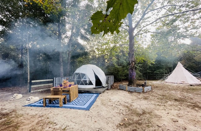 Tally Glamping Farmstay GIMPY’S GEODOME with mini horses, goats, cows, chickens