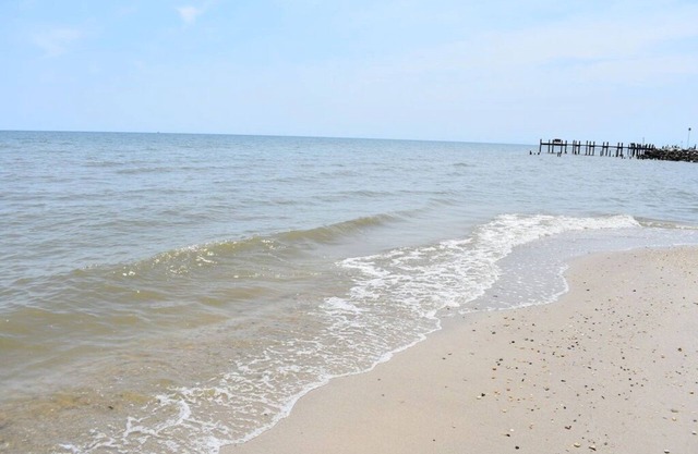 Tanera Moor: der Wald, das Meer und der Zugang zum Sandstrand - alles in einem Haus