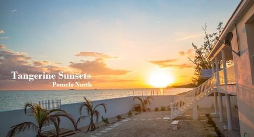 Tangerine Sunsets Pomelo North