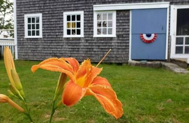 Küstenscheune, Acadia, Blue Hill, haustierfreundlich, Tapley Farms