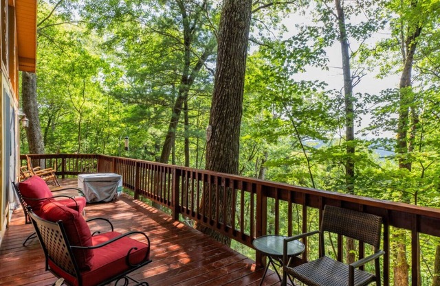 Tatra Nest - Powder Horn - Views! Pets ok! Hikers Paradise