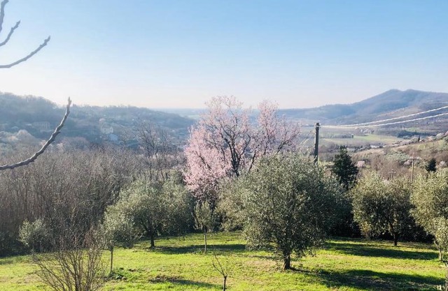 Tavern di Arqua'