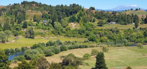 Te Tirohanga (The View)