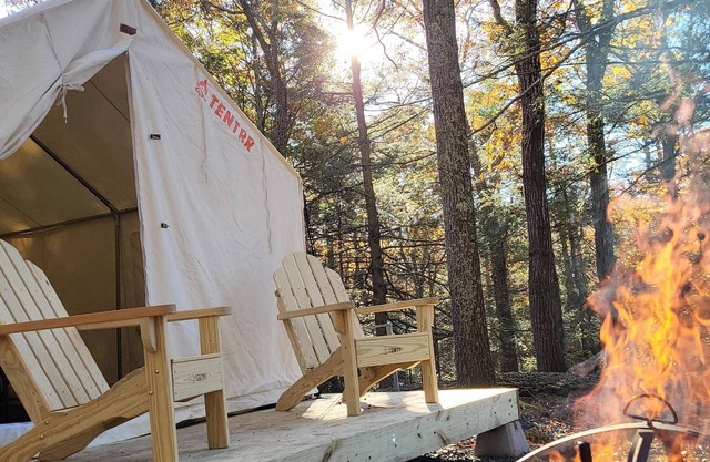 Tentrr Signature Site - Shady Pines Campsite