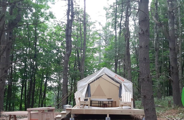Tentrr Signature Site - Forest Farm Waterfall Camp Site