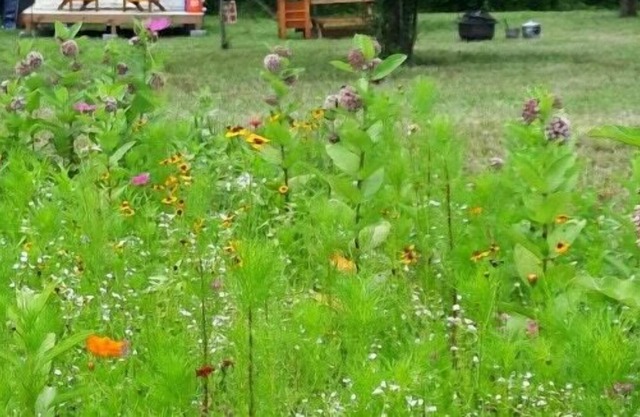 Tentrr Signature Site - Shepherd's Meadow