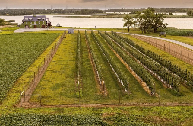 Tentrr Signature Site - Thousand Acre Farm -- collab