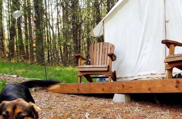 Tentrr Signature Site - Big Wood