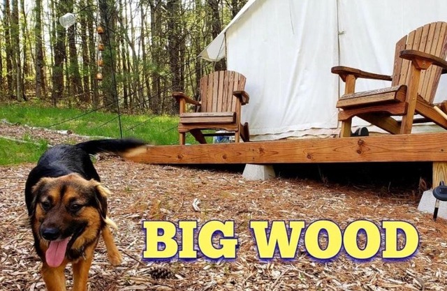Tentrr Signature Site - Big Wood