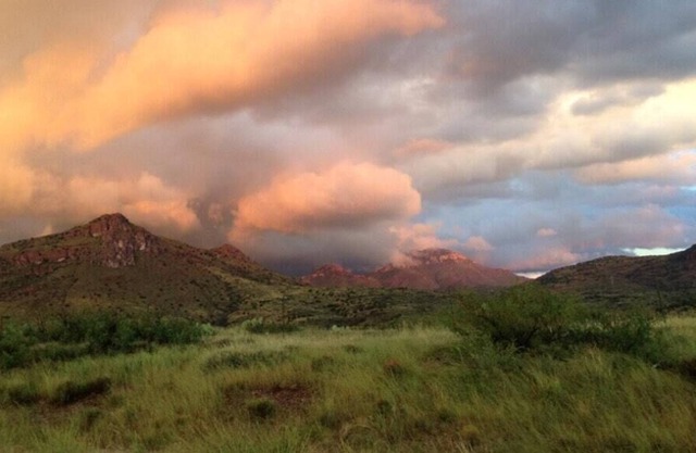 Tentrr Signature Site - Mountain Retreat on the Mogollon Rim Pure Gold