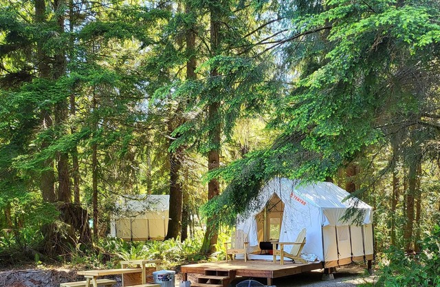 Tentrr Signature Site - Fern Gully Site 2