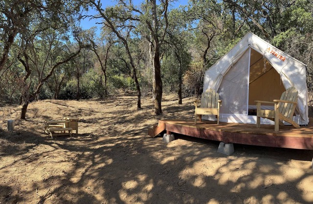 Tentrr Signature Site - Swine and Shine Camping