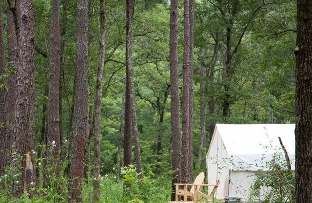 Tentrr Signature Site - The Woods at Black Creek - The Swamp Fox