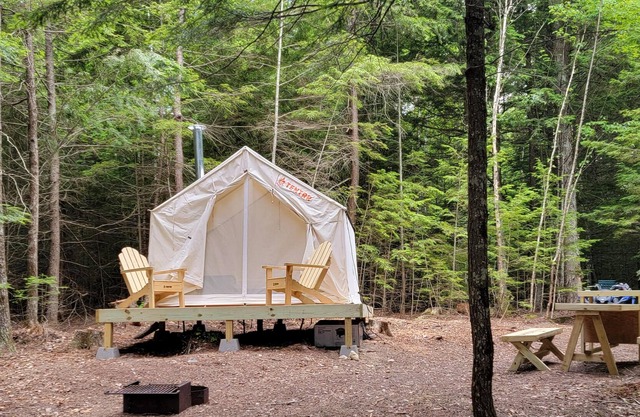 Tentrr Signature Site - Wild Fox Cabins Tentrr Adventure