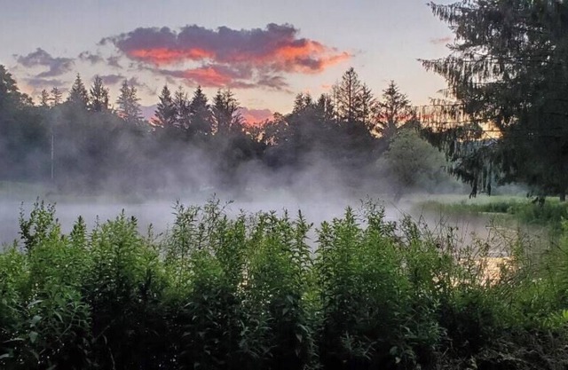 Tentrr Signature Site - Wolf Camp